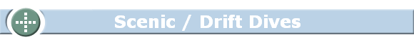 Scenic / Drift Dives